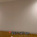 스테이509