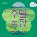 윤의열 농장 네이버블로그