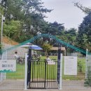 도그필드 이미지