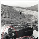 중부건설인력 이미지