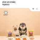 복실스토어