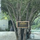 무주아일랜드펜션 | 무주 서림연가 L5 후기, 7개월 아기랑 여행 숙소 추천(바비큐, 자쿠지)