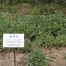 한강시민공원(화훼단지) 이미지