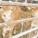 덕창목장 이미지