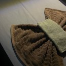 선문아이디 | 세부 막탄 뉴타운 마사지 BEST2 :: 바안스파, 피톤치드 스파 픽드랍, 금액, 예약, 솔직후기