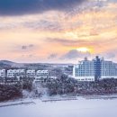 아일랜드리솜 이미지