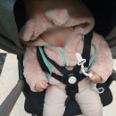 올쏘플러스 이미지