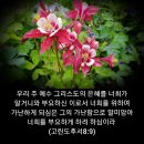 샬롬 이미지
