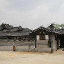 비원 Daum카페
