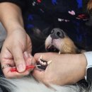 우리펜션 이미지