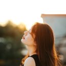 차돌체육관 이미지