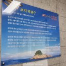 어바우코다리찜 이미지