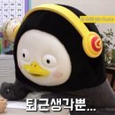 꾸며꾸며