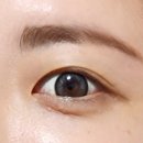 멜팅헤이즈 원데이 그레이 렌즈 착상세 후기 - 룩스토어 위드렌즈 신서혁신점