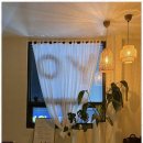 수원-0737 이미지