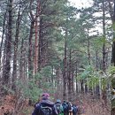 바우길 10구간 이미지