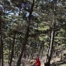 울도보건진료소 이미지