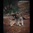 아인부동산 공인중개사사무소 이미지