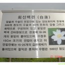 회산백련지 이미지