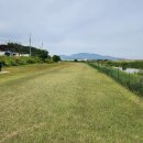 충주의 파크골프장 이미지