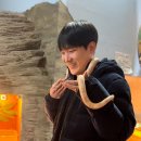 사파리체험테마파크 이미지