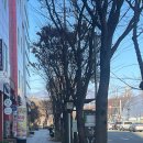 버스정류장(폭스존) 이미지