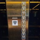 D00136 | [20일 유럽여행] [숙소 리뷰] 로마 카발리에리, 어 월도프 아스토리아 리조트 수영장 &amp; 야외 공간 후기