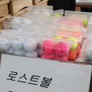 도깨비정원 이미지