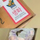 기대만족 - 포항시 북구 칠성천길 58-1 | 찐 내돈대산, 싱싱한 생화 꽃다발, 기대 이상이라 만족했던 후기 🌷