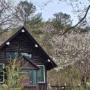 물만난 하우스 | [포천 숙소] 서울 근교 힐링 여행, 숲속 전용 계곡이 있는 '비발디하우스' 후기