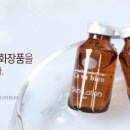 사바비안 네이버블로그