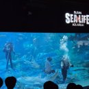 당정역 3번 출구 앞 버스정류소 | 부산아쿠아리움 여행특공대 티켓으로 할인받은 주말후기 주차꿀팁