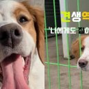 밥공장 이미지
