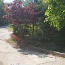 본동민박 이미지