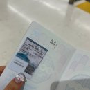 세븐일레븐 운서원룸점 | 일본 도쿄 여행 일지 _ 도쿄2박3일/신주쿠/시부야/오이마치/아키하바라/오모테산도 (23.06.10-23.06.12)
