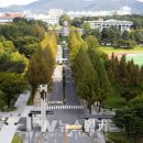 전남대학교 법학전문대학원 이미지