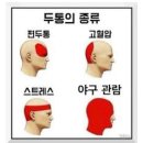 망원동물종합병원 | Apr. 경로이탈