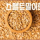 밀 이미지