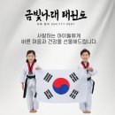금빛나래태권도장 이미지