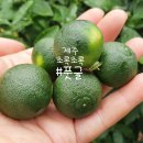 지웅농장 이미지