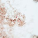 평온한의원 이미지