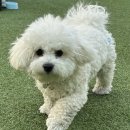 인물나개 네이버블로그