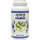 썰퍼팜