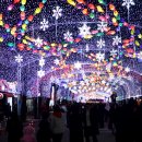 산천어길 이미지