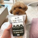 진품한우 | 100% 국내산 강아지 수제간식, 펫티즈 한우우피 오래 먹는 한우껌 솔직 후기