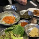 마약생고기 티스토리