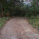 서천남산성 이미지