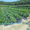 행정 다기능회관 이미지