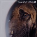 천선농장 이미지