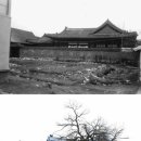 훼손되기전 궁궐의 모습 이미지